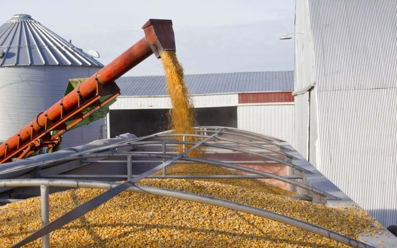 An auger conveyor loading grain into an open-top hopper trailer