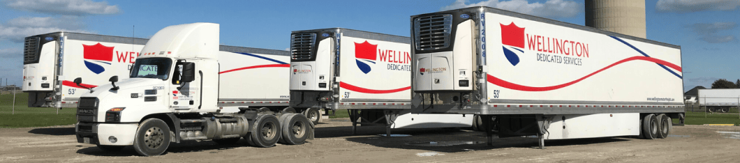 A group of Wellington Dedicated Services trucks and trailers in the yard on a sunny day. There are three refrigerated trailers and one day cab truck present.