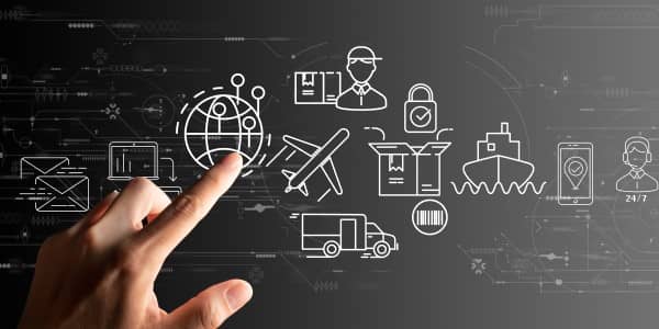 Niche Supply Chain Advisory Services
